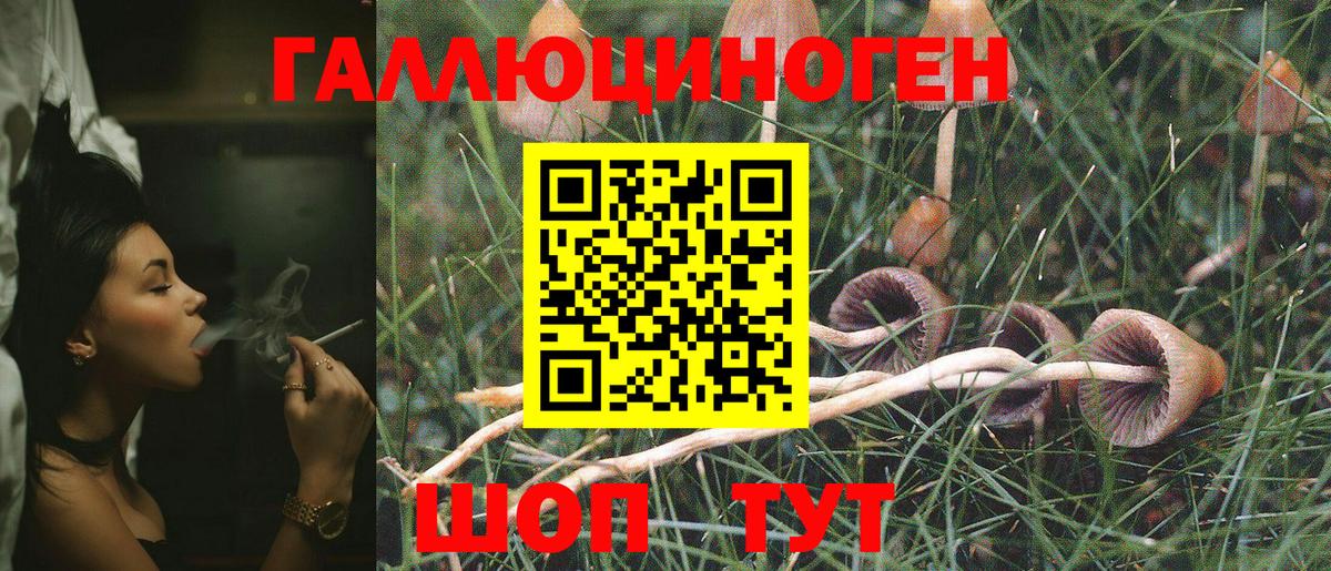 Галлюциногенные грибы MAGIC MUSHROOMS  Вход с VPN  продажа наркотиков  Долгопрудный 