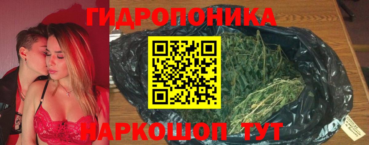 Марихуана тримм  Вход с VPN  Марихуана планчик  Долгопрудный  Шишки марихуана White Widow 